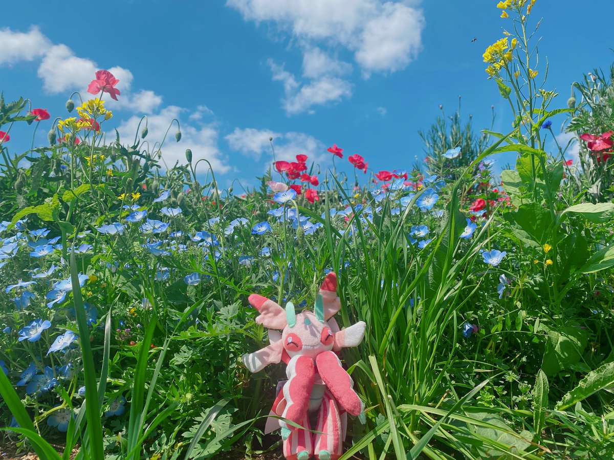 いちのせ tweet media