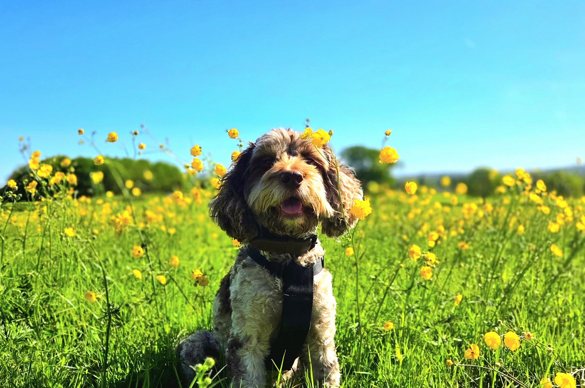 Timsley's tweet image. My little Buggerluggs...! #ISAIDIT 🤪