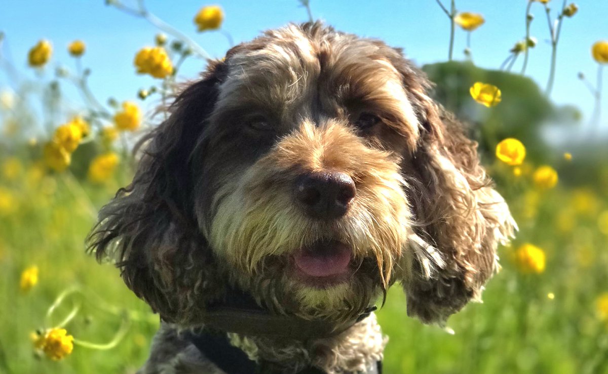 Timsley's tweet image. My little Buggerluggs...! #ISAIDIT 🤪