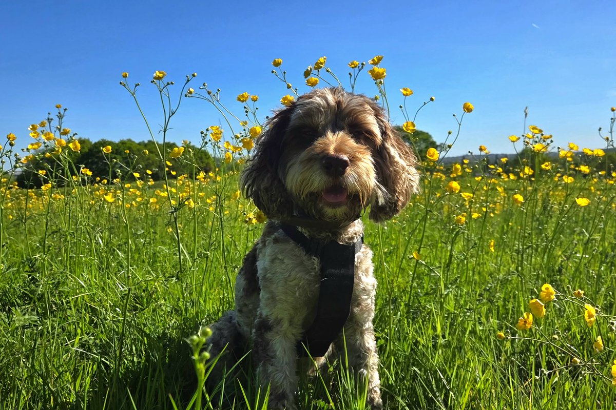 Timsley's tweet image. My little Buggerluggs...! #ISAIDIT 🤪