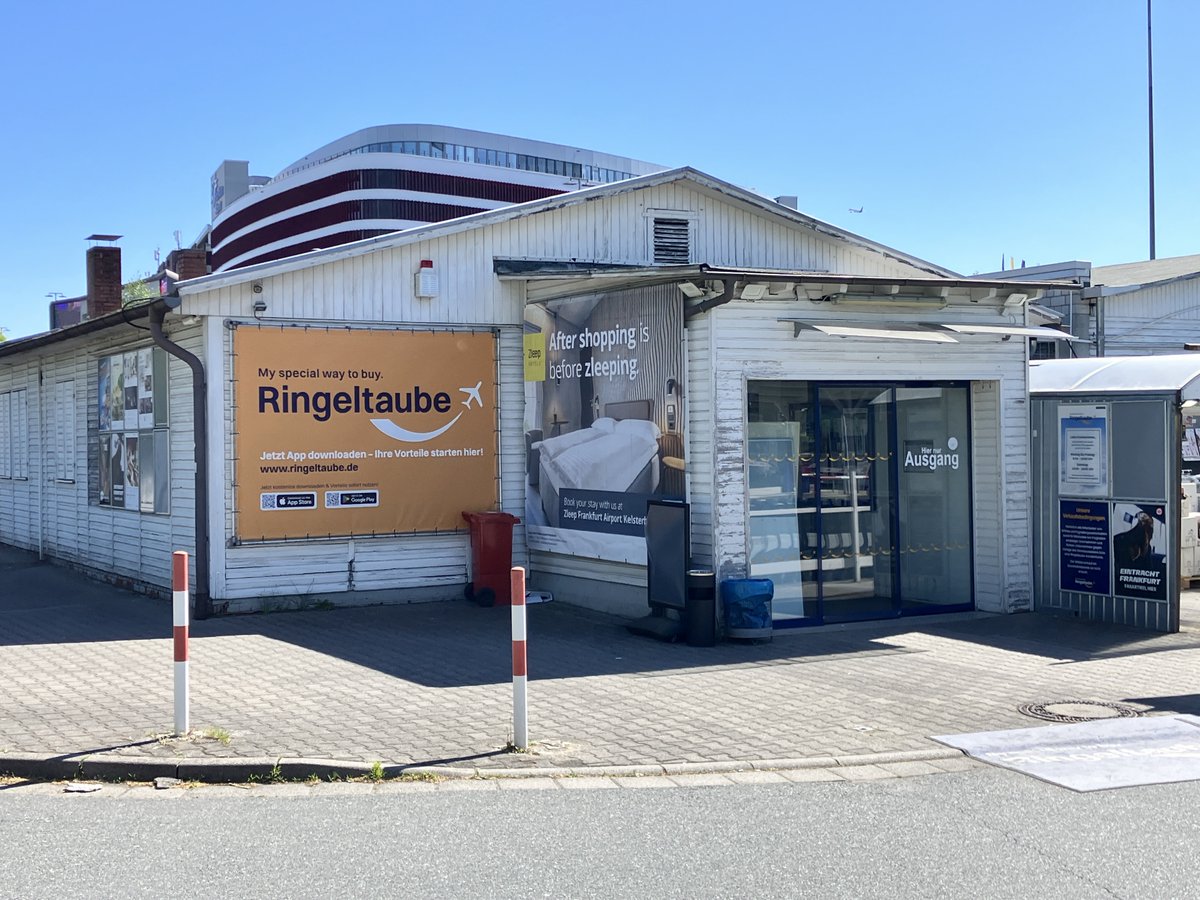 彷徨えるマグロ tweet media