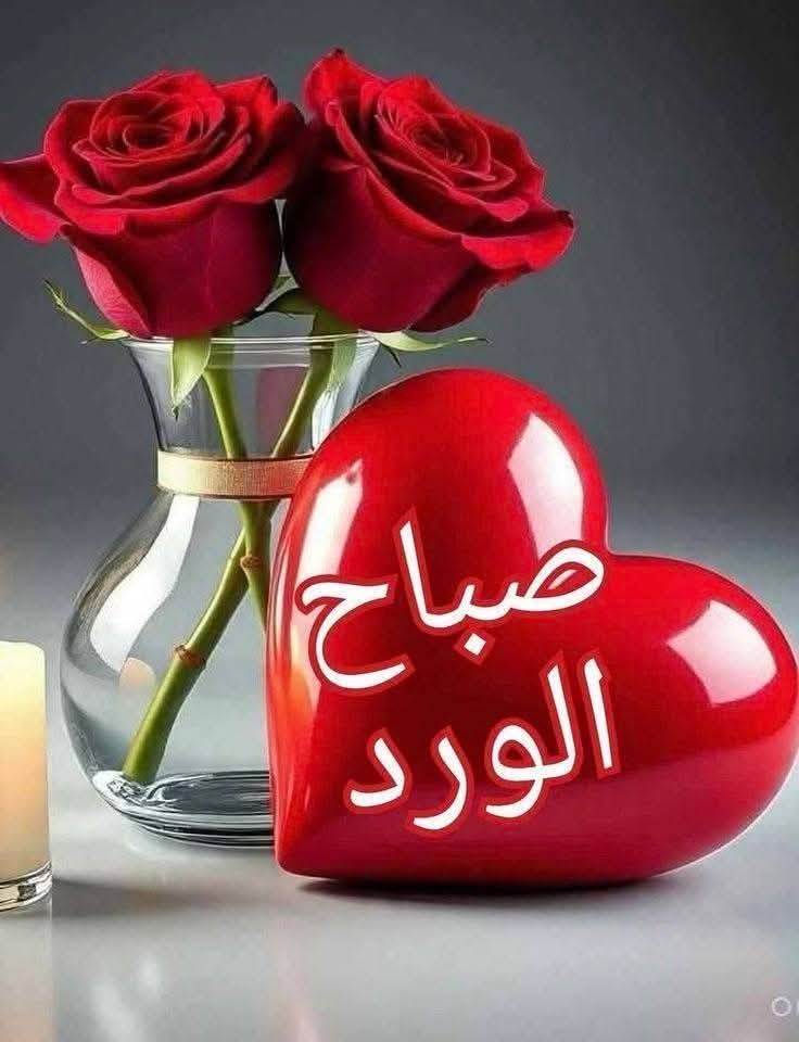 عاطف زين العابدين tweet media
