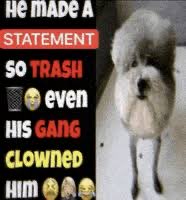 Edge 🇹🇷🧊 tweet media