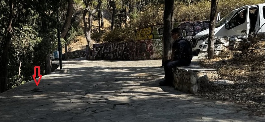 Ανοιχτή Συνέλευση Υπεράσπισης του Λόφου Στρέφη tweet media