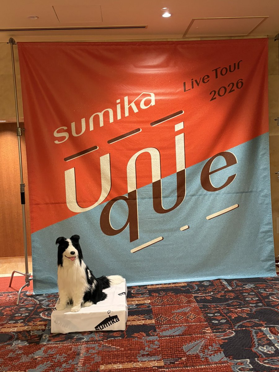 CS_umi06's tweet photo. いつでもsumikaを選び続けるよ https://t.co/8Qa2tbbdfK