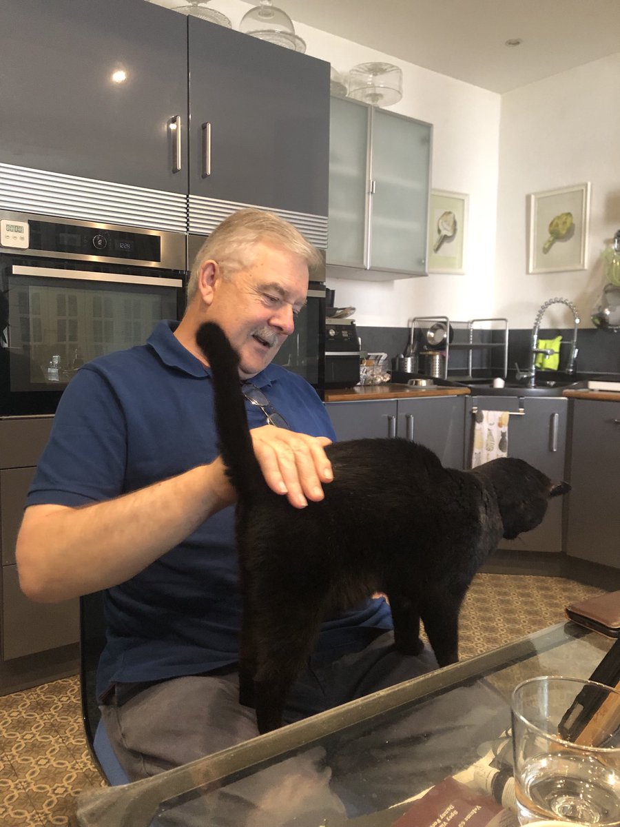 Jacquel95984318's tweet image. Mission accomplished! Love Dennis-Wilbur. 🖤🖤🖤 #Cats #CatsOnTwitter  #CatsOfTwitter #Hedgewatch #Hedgewatchers #CatsOnX #CatsOfX