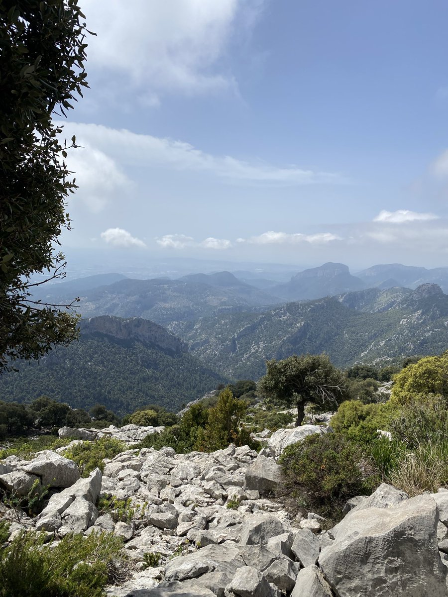 mel ?!🐞 tweet media