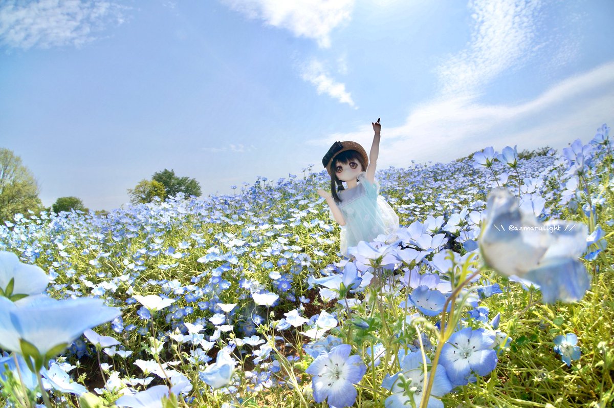 らいと🫠 tweet media