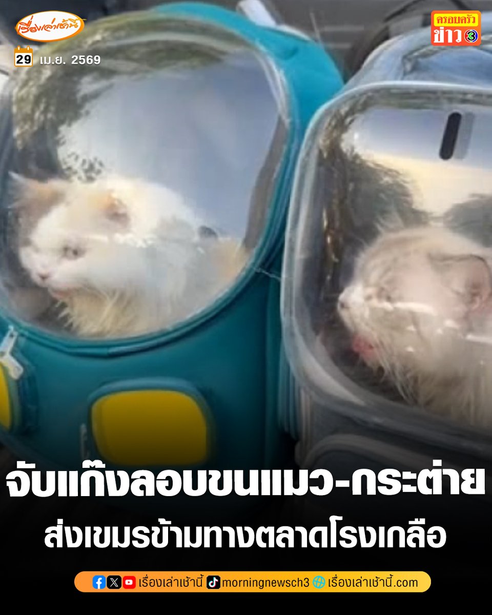 เรื่องเล่าเช้านี้ tweet media