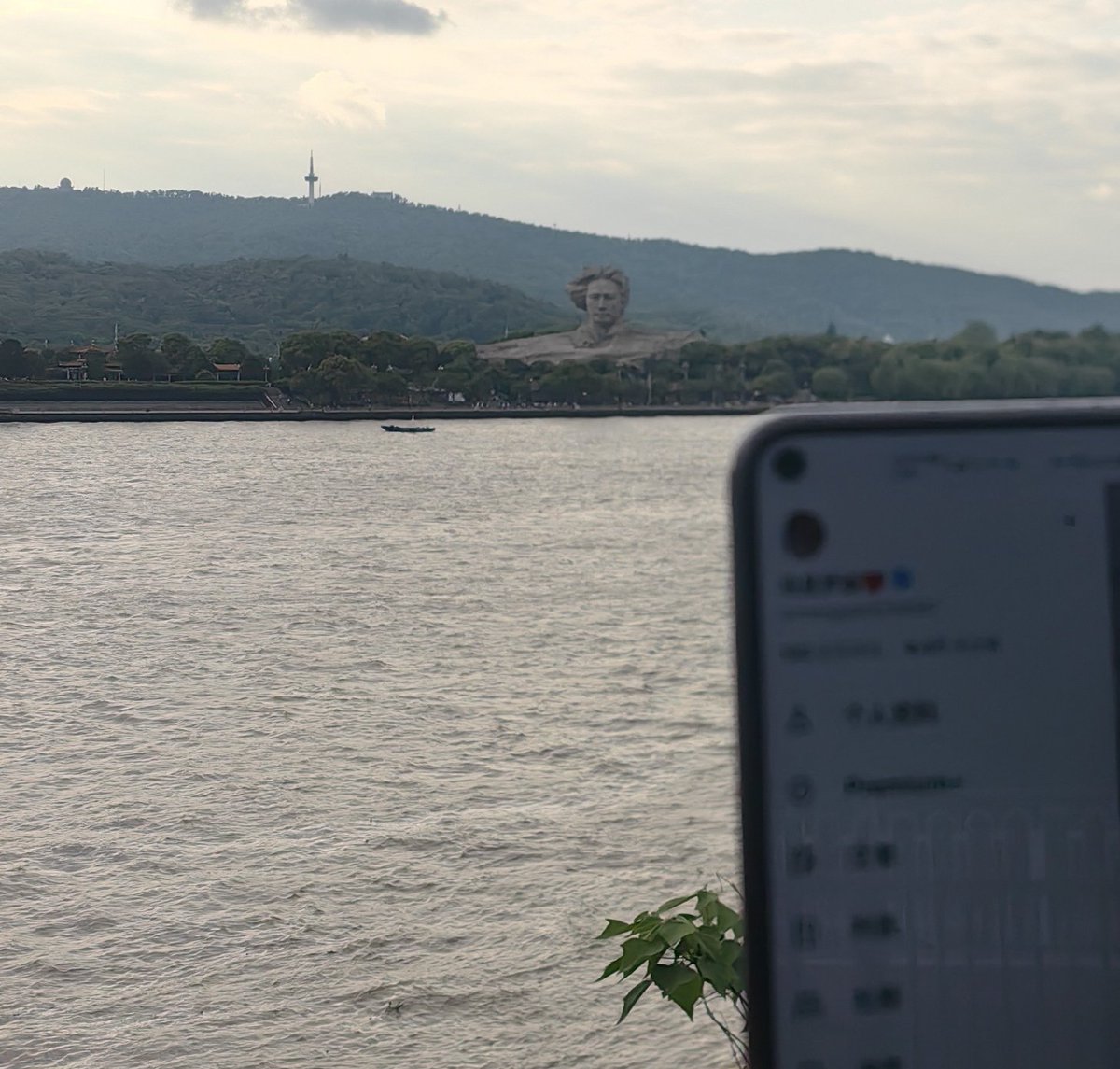  tweet media