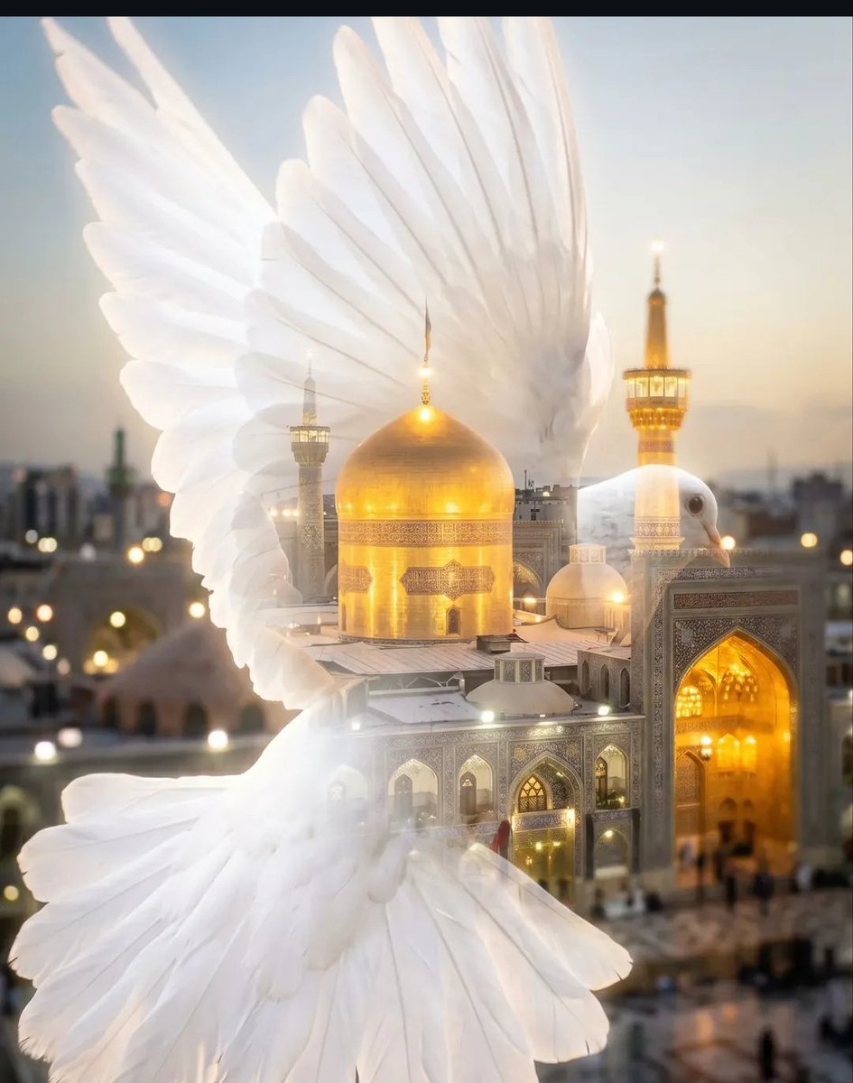 گنبد طلایی امام رضا(ع)، خورشید دل‌های عاشق است.
#ایران_امام_رضا #صحن_رضا_جان