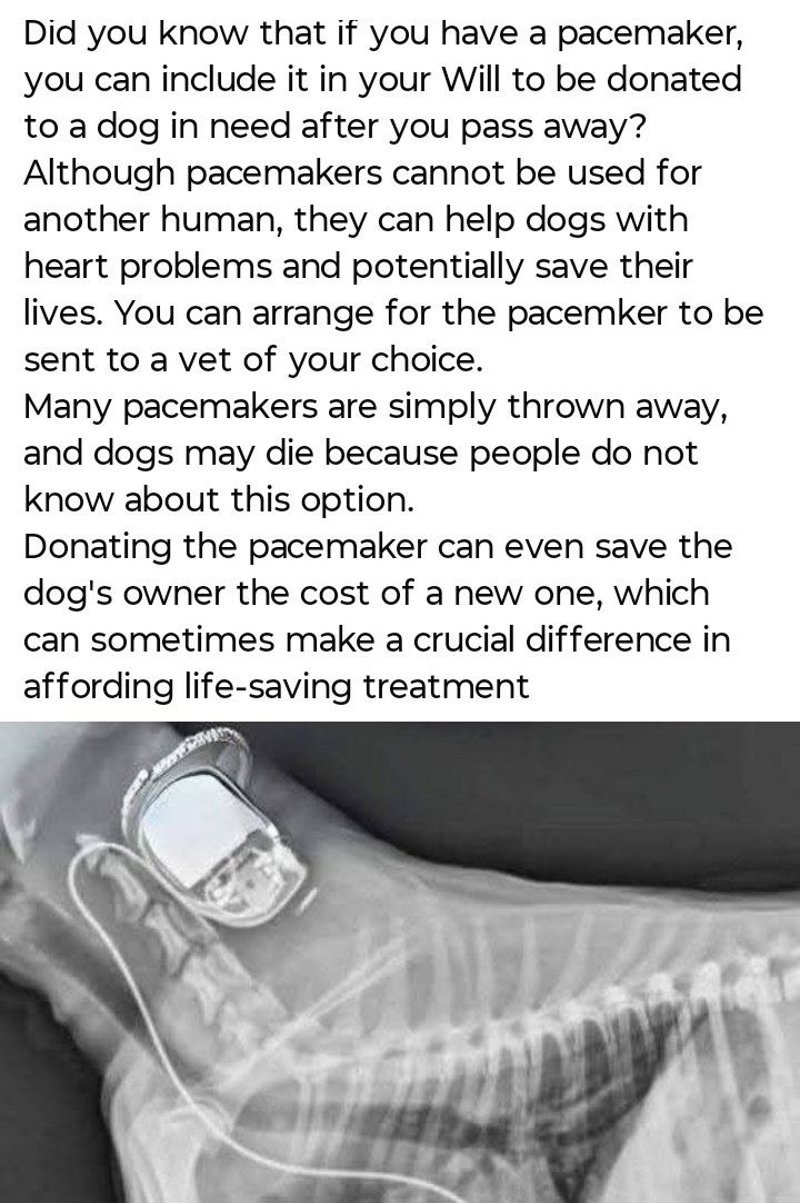 Ginger Geronimo tweet media