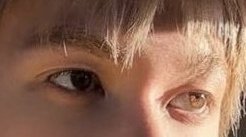 levie 🚥 tweet media