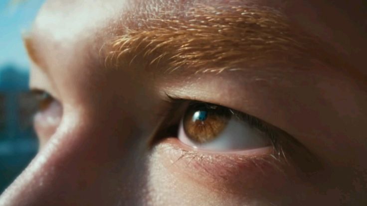 levie 🚥 tweet media