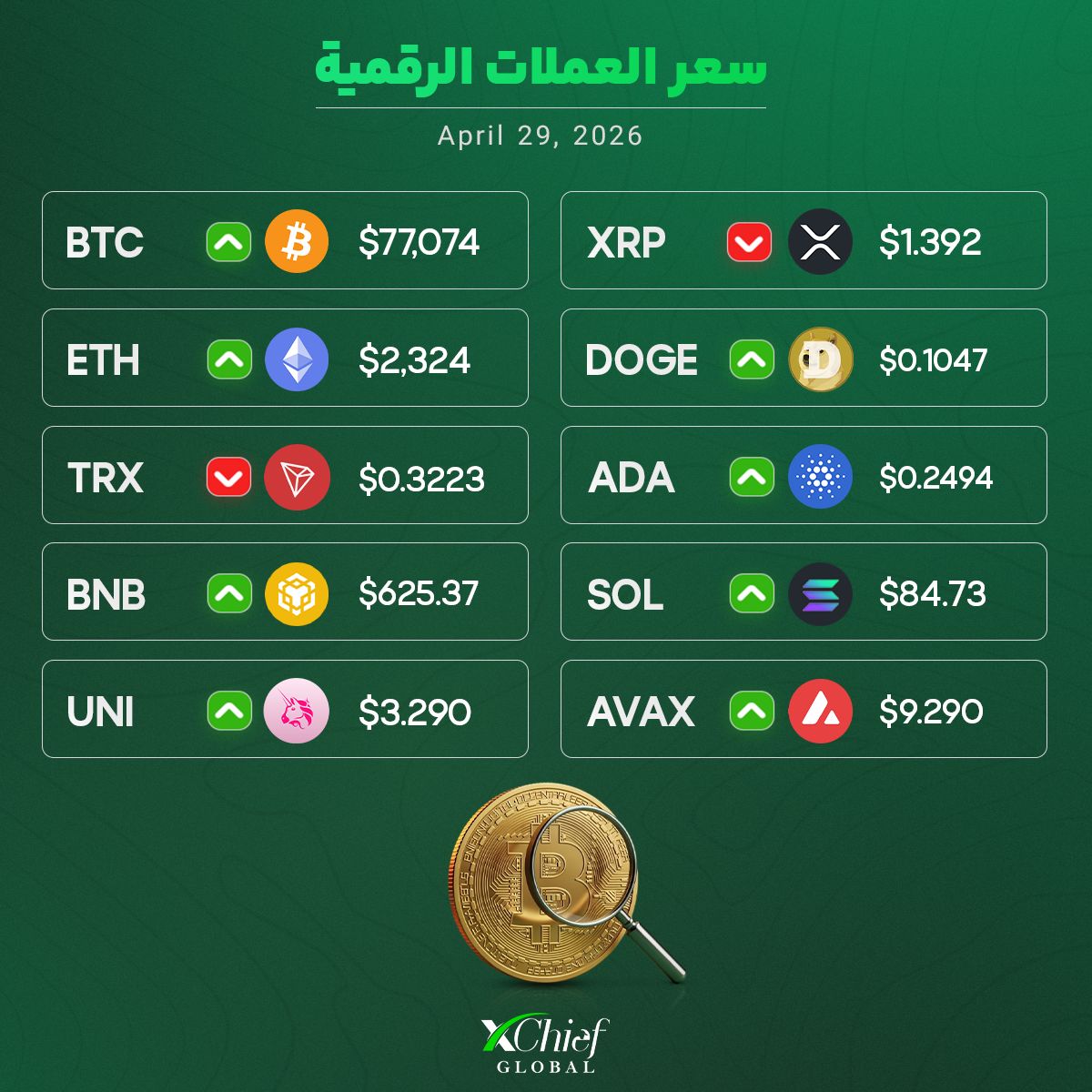 xChief | MENA tweet media