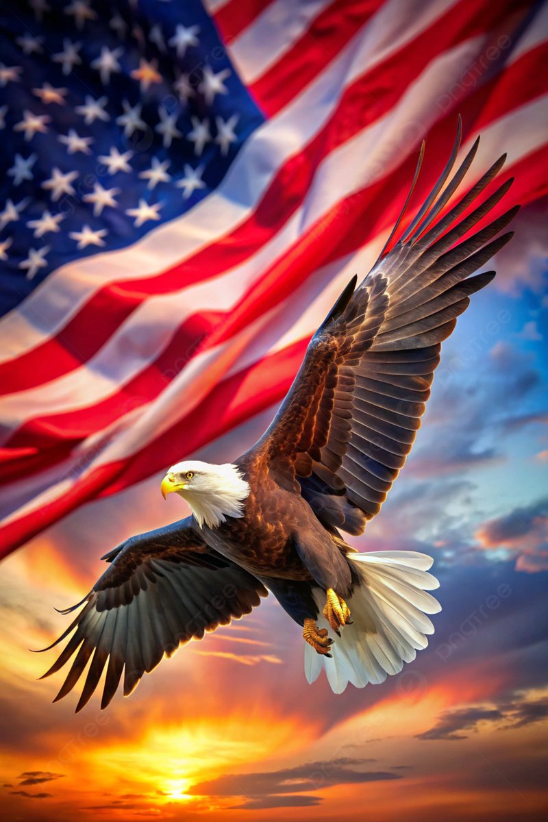 Onward🇺🇸1776 tweet media