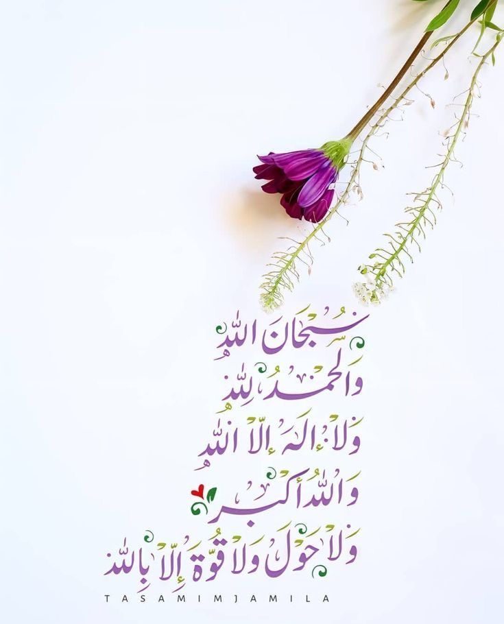 نـــوف وكفى💕 tweet media