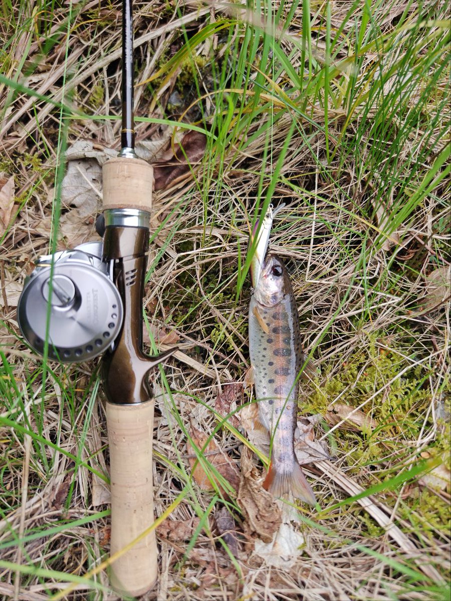 川棚新 tweet media