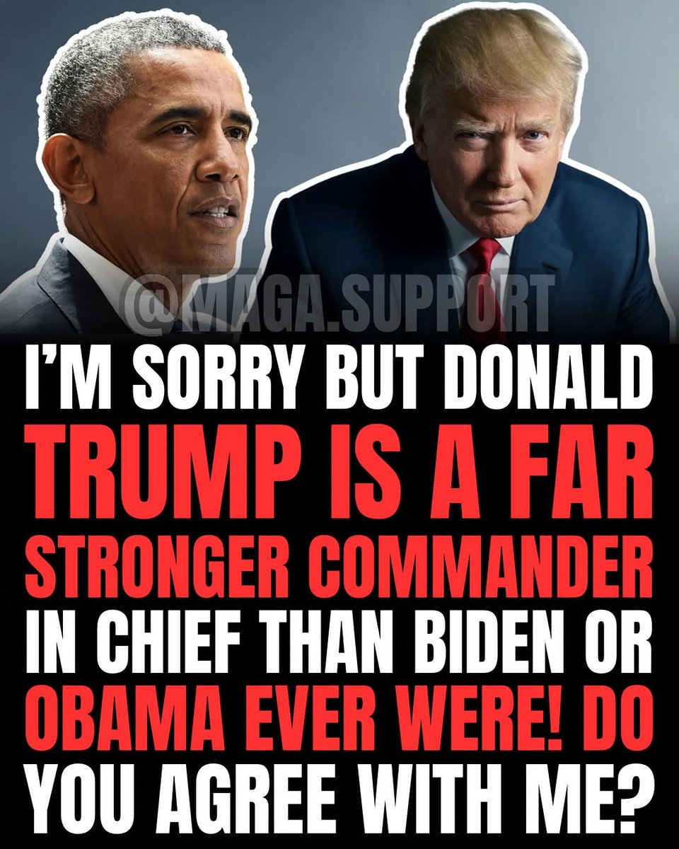 รαℓƭ + ℓเɠɦƭ tweet media