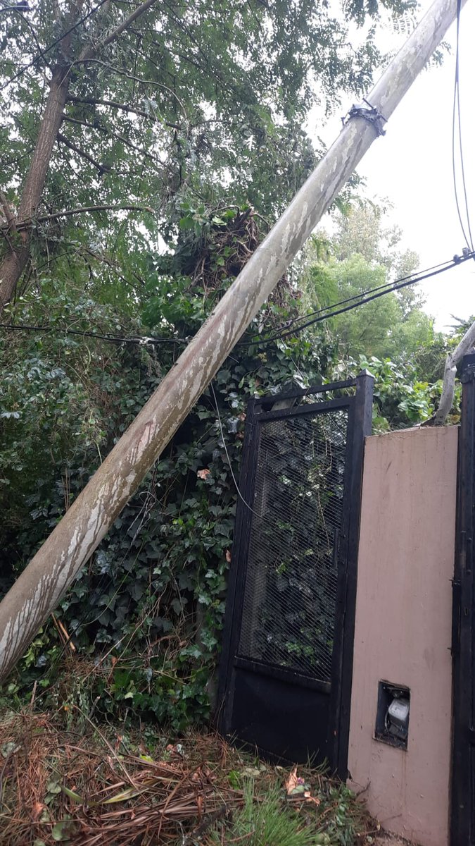 Fabian Laxalde tweet media