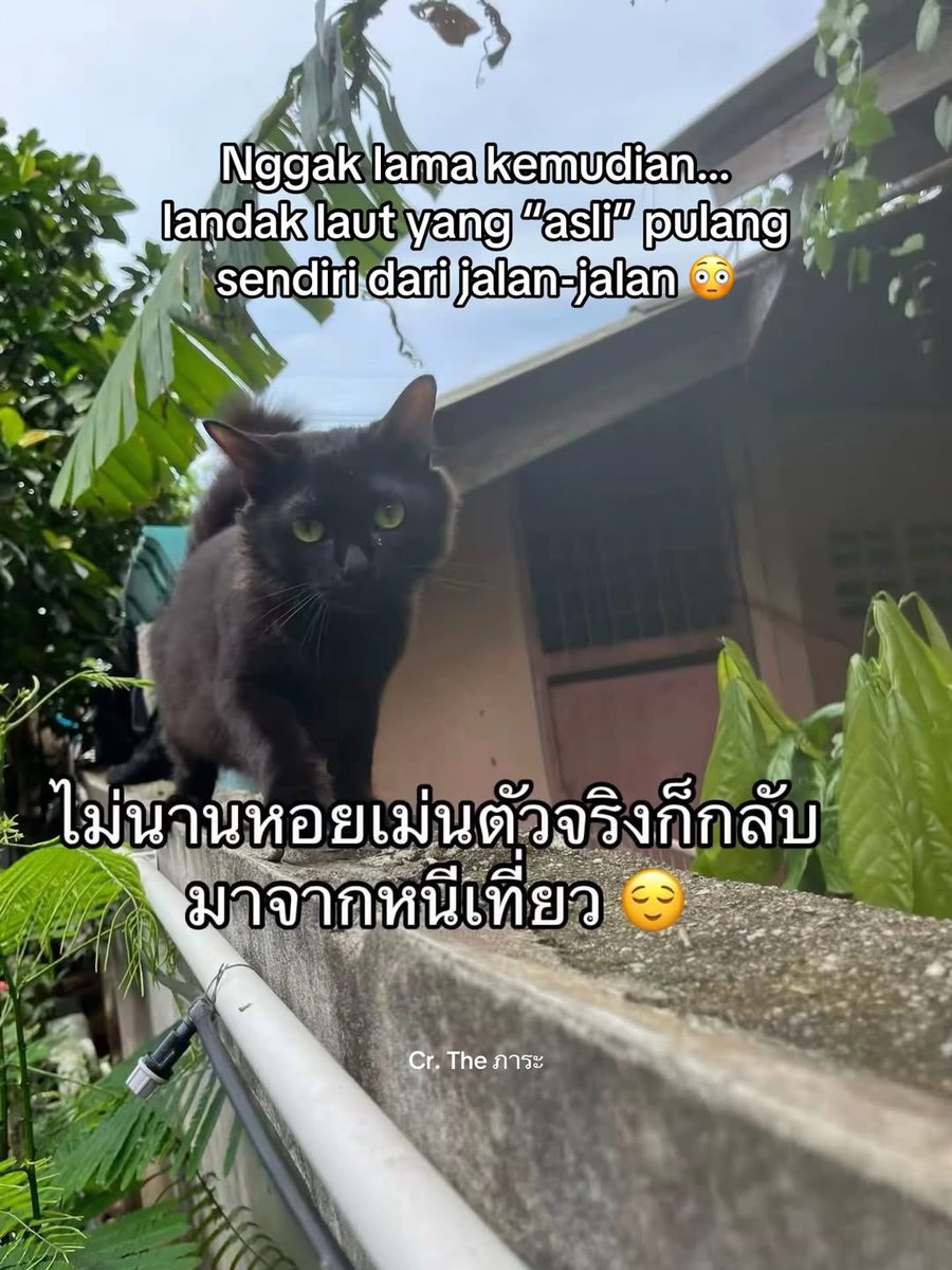 zalkad's tweet photo. Lanjutan ke 5, 6, 7, 8 https://t.co/CYXDRts8hR