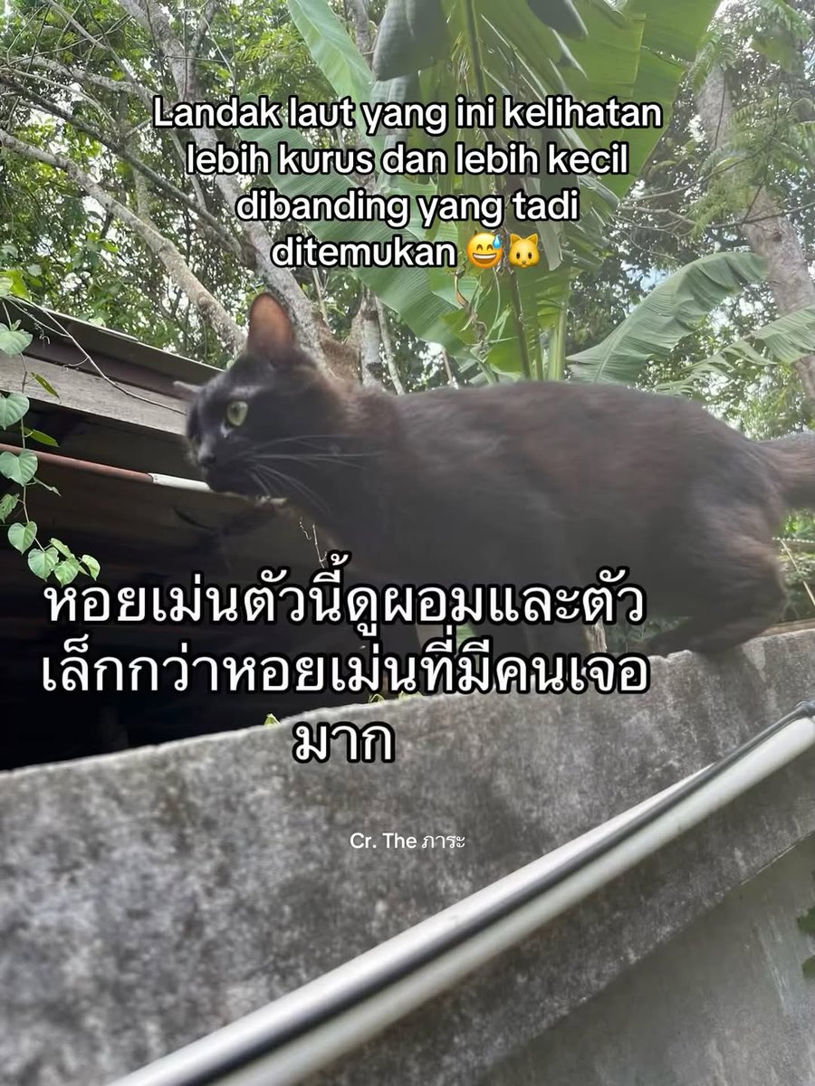 zalkad's tweet photo. Lanjutan ke 5, 6, 7, 8 https://t.co/CYXDRts8hR