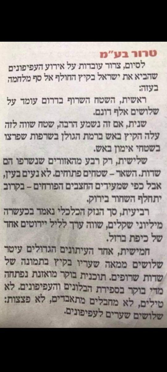 Doron Shabti tweet media