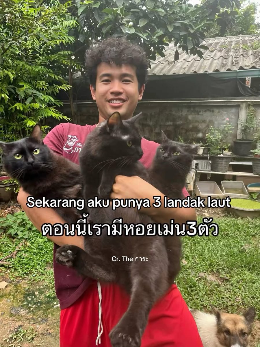 Faizal tweet media