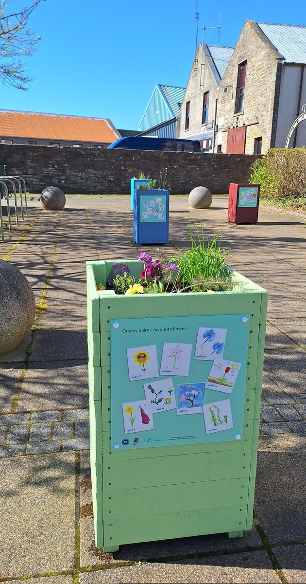 OrkneyLibrary's tweet image. It's another beautiful sunny day in #Orkney and we've just added these lovely coloured planters to our flora trail at the front. 🌼🌸

Each planter is decorated with panels covered in flowers drawn by local children from primary schools around Orkney. ❤️🌞

#GreenLibraries