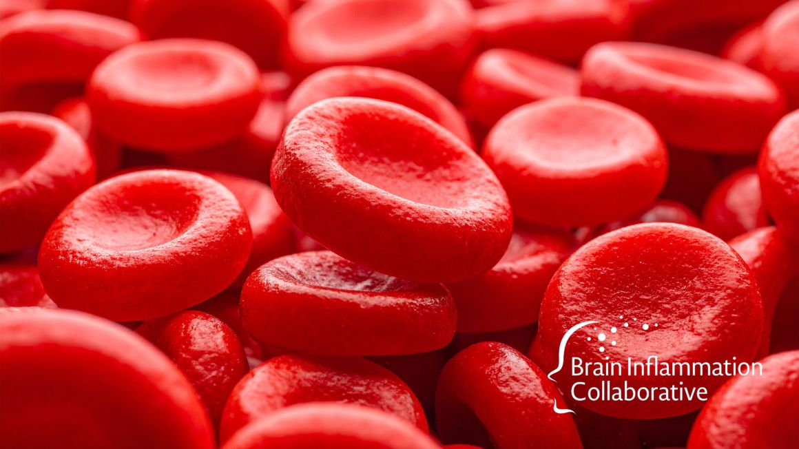 Brain Inflammation Collaborative tweet media