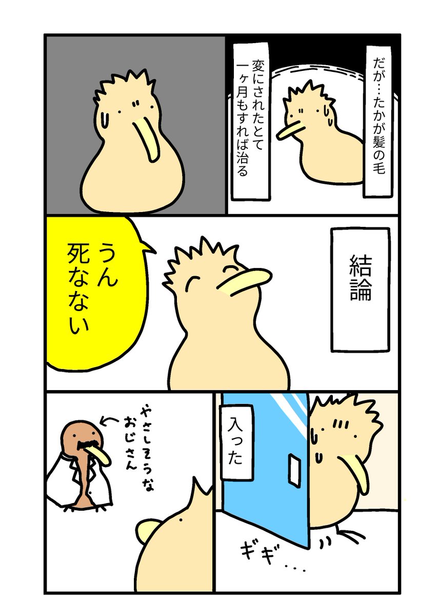 月収5万エジプト在住 まあ死なんやろ日記(番外編)
「どうすれば海外で生き残れるか」(2/3) 