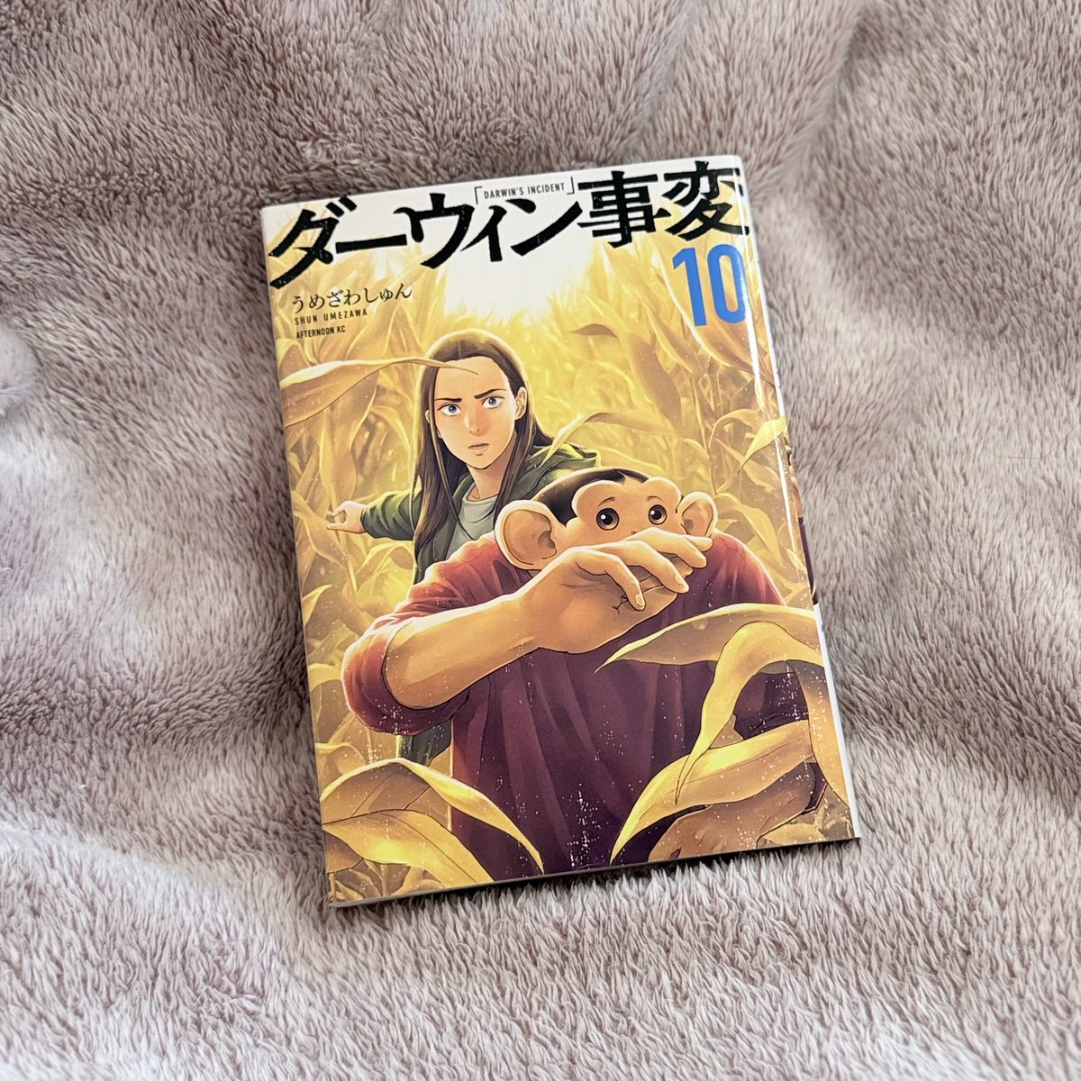 彩𖧷書店をさまよう積読家 tweet media