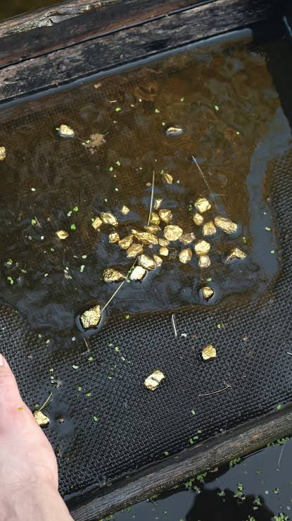 DWebStalker 👻😈 tweet media