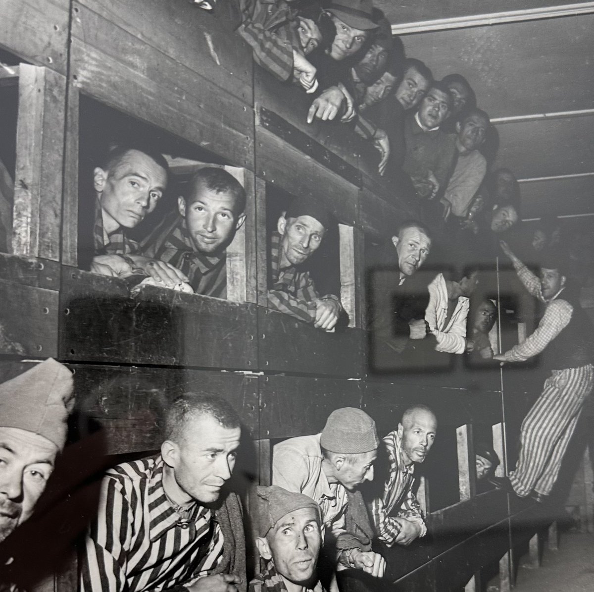 HistoriaWeirdLATAM (Omar 🈂️) tweet media