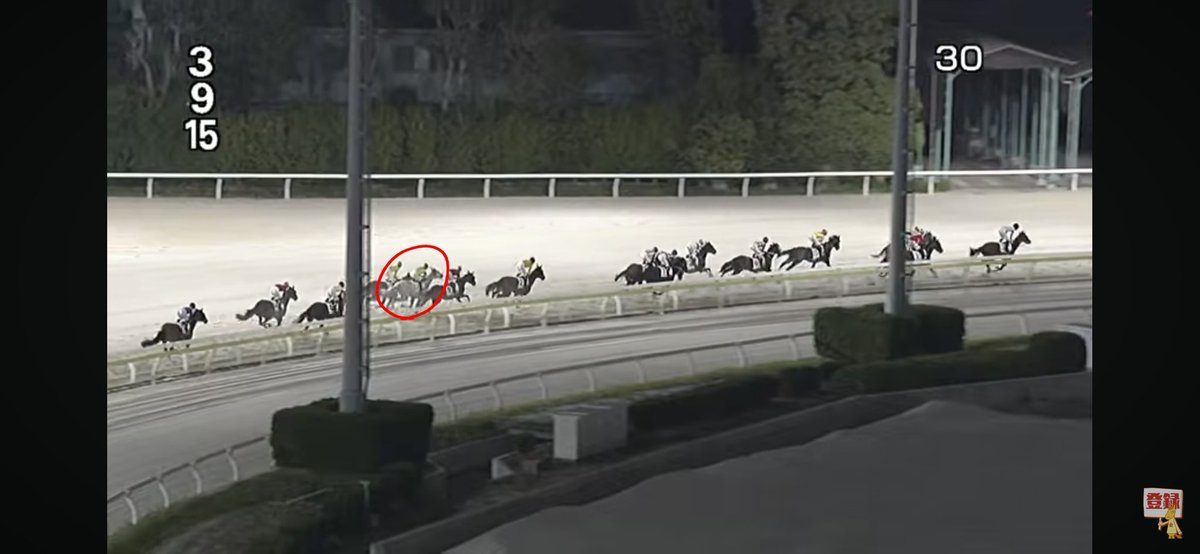 ぽんちゃん tweet media