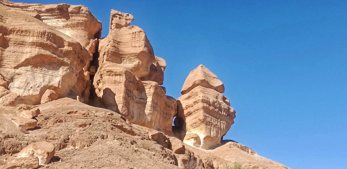 🇸🇦bahaj-محمد باحاج tweet media