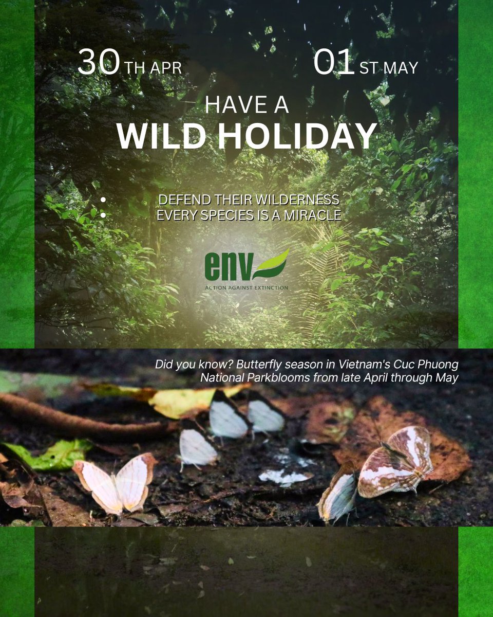 edu4naturevn's tweet image. April 30th and May 1st mark Reunification Day and International Workers’ Day in Vietnam. 
Support ENV’s frontline mission to keep Vietnam wild. #WildlifeProtection #Vietnam #Nature #Cucphuong