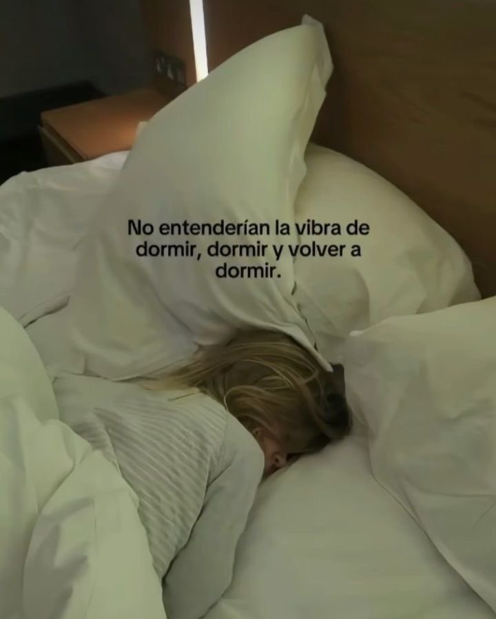 no lo entenderán