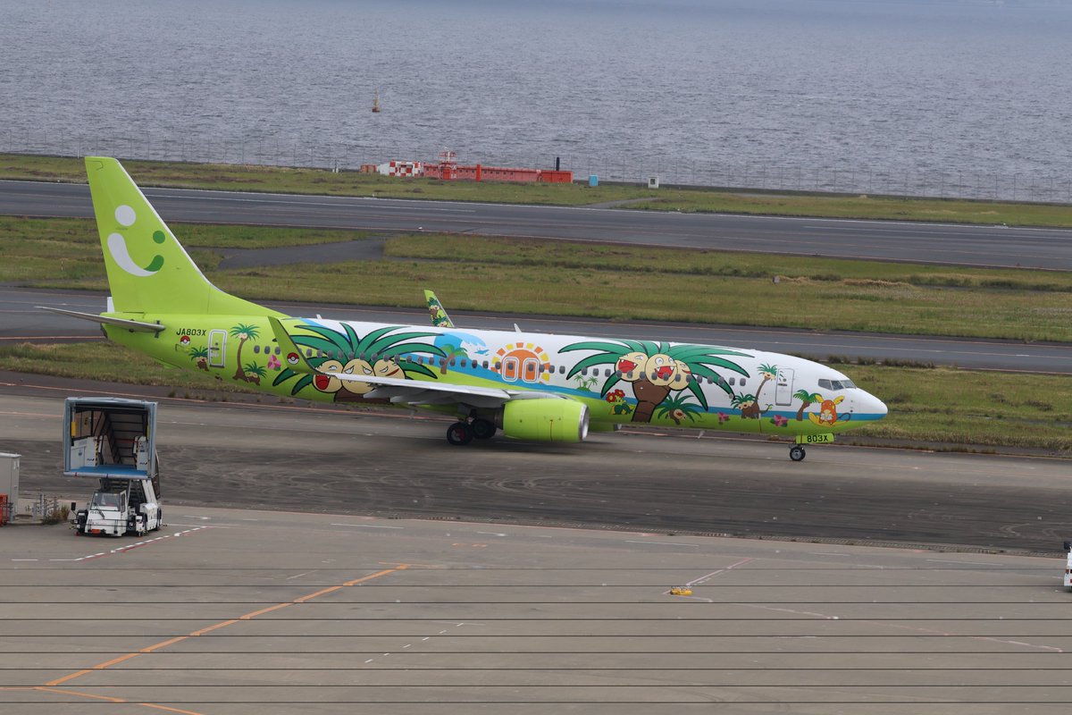 2026.4.29㊗️6J75(HND→KOJ)13:24発  Solaseed Air(Nassy Jet Miyazaki Livery)JA803-X Boeing
 737-86N やっと会えた🌴鹿児島行きD上がり BAさんはCあがり✈
#ナッシージェット