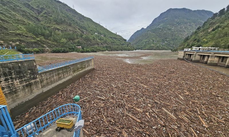 OfficeOfDGP's tweet photo. .@Jairam_Ramesh This picture is from the Pandoh Dam in Himachal after the excessive rain, revealing timber mafia thriving under Congress rule.

Any comment from you or ur standup comedian? https://t.co/nR0GJw2e6L