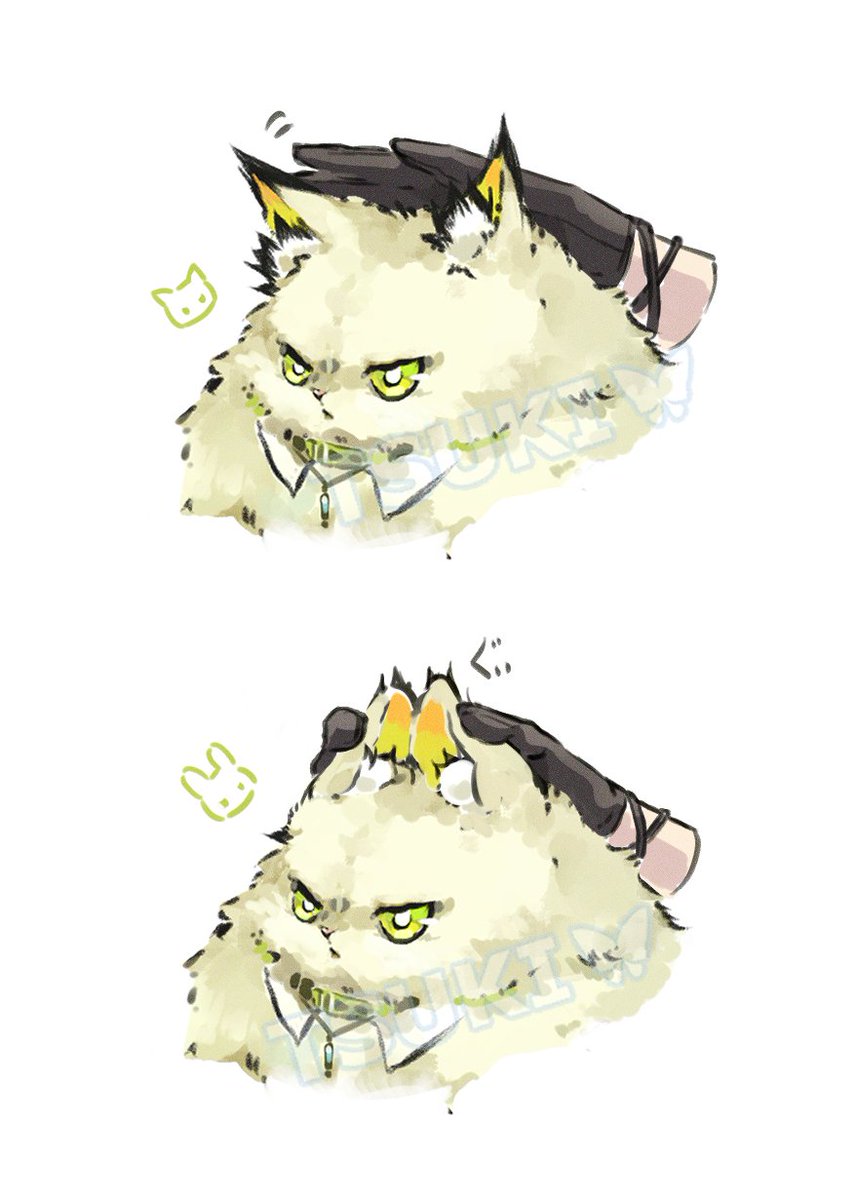 TSUKI🦋月月子🐰5/5 西２ ユ67a tweet media