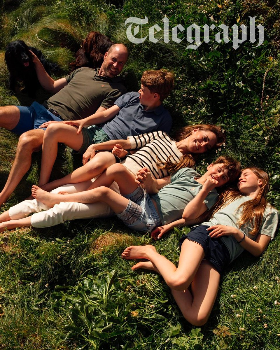 The Telegraph tweet media