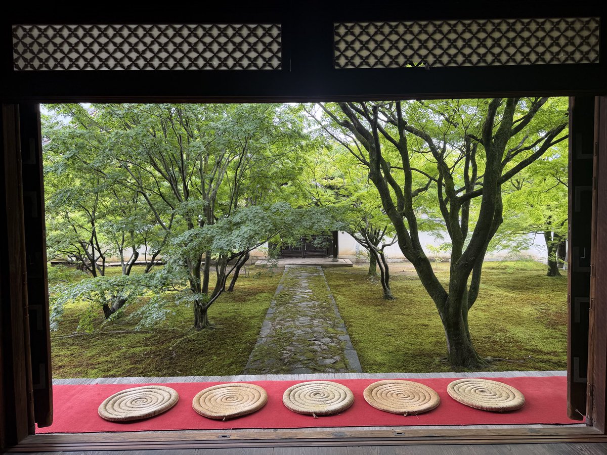 TjsFUeFoXeAp7vg's tweet photo. 2026年も5月1日〜5月31日の期間で京都にある妙覚寺の特別公開が行われます。
信長が京都に来た20数回のうち18回の宿泊をここ妙覚寺でしています。信長のイメージである本能寺には実は3回しか宿泊していません。その3回目に本能寺の変が起こったのです。 https://t.co/xUfXYOAkFO