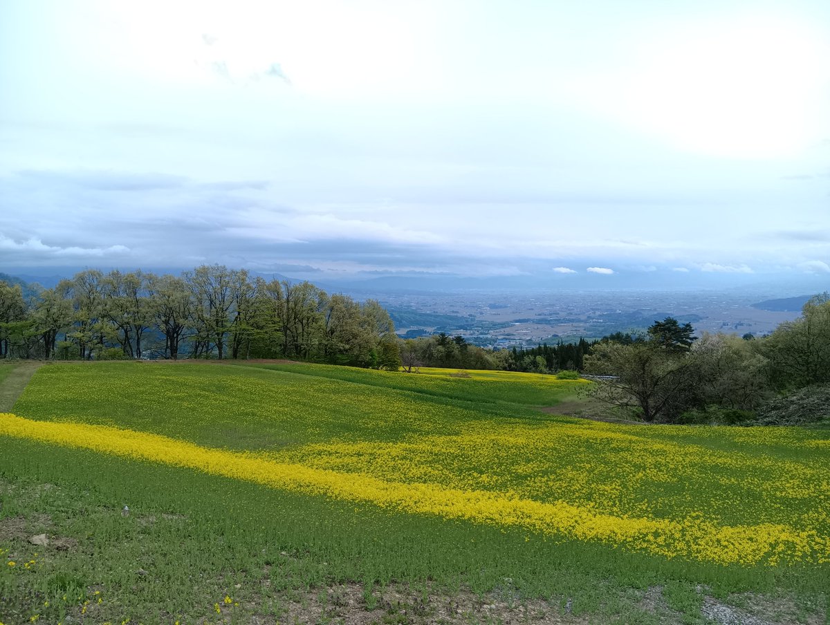 三ノ倉スキー場 tweet media