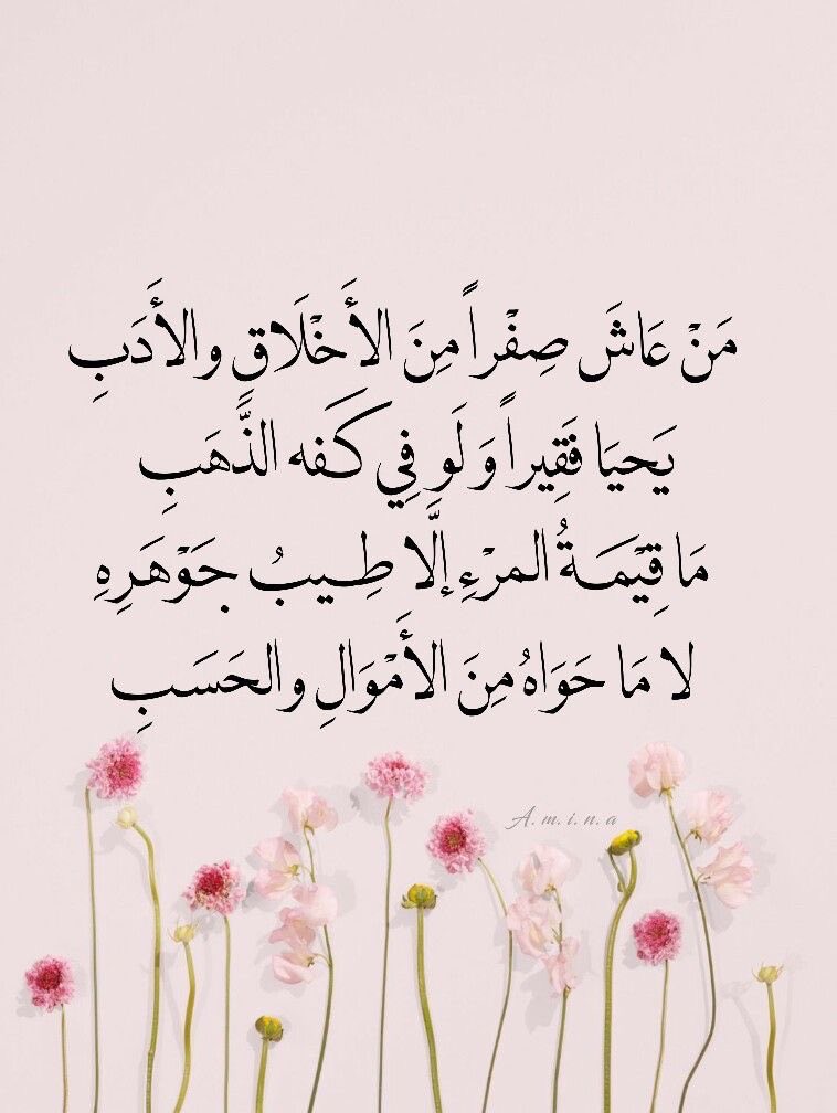 نـــوف وكفى💕 tweet media