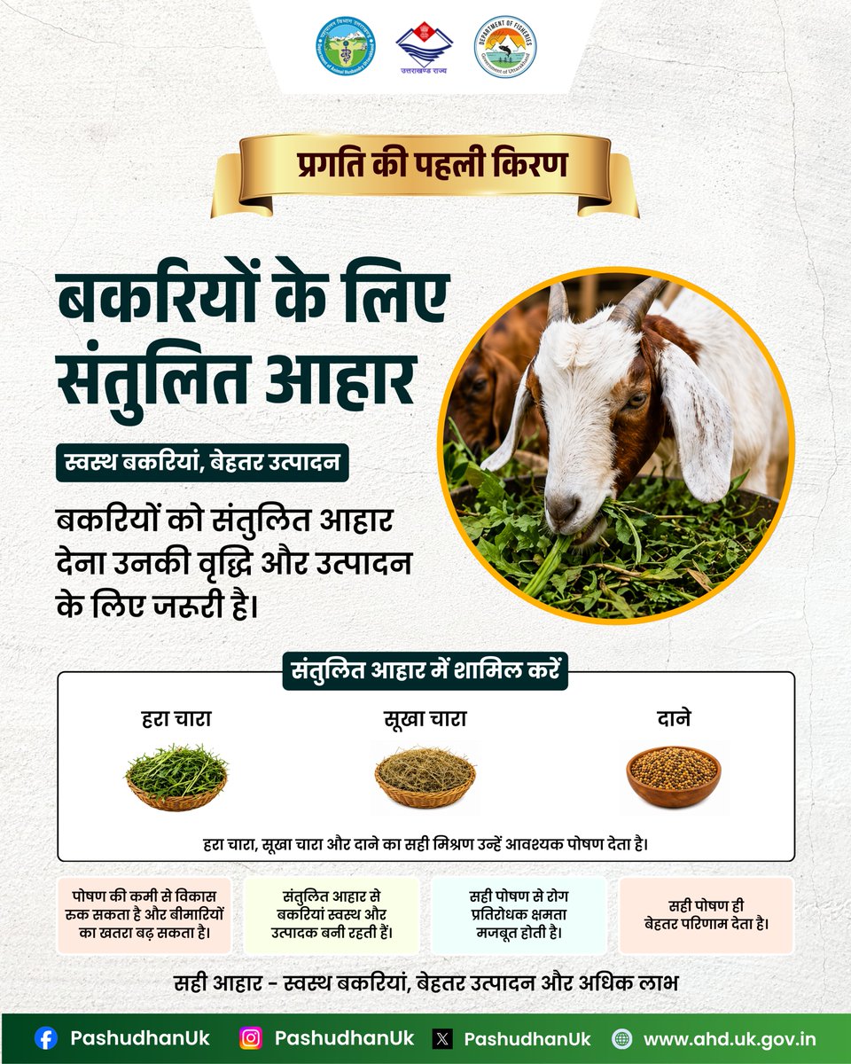 pashudhanUK's tweet image. स्वस्थ बकरियां, बेहतर उत्पादन!

#ahuuttarakhand #goatvalley #livestock #dailytips