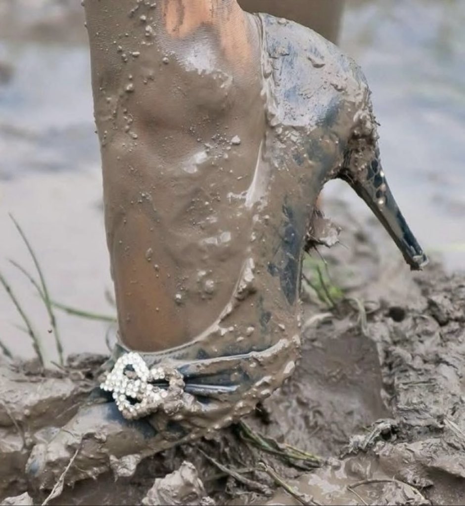 arnold_king🤴 tweet media