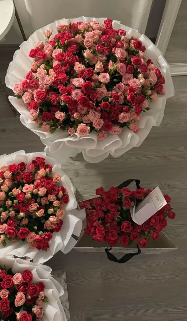𝓣𝓱𝓮𝓑𝓵𝓸𝓼𝓼𝓸𝓶𝓢𝓽𝓾𝓭𝓲𝓸 (@phollukidukaan) on Twitter photo 