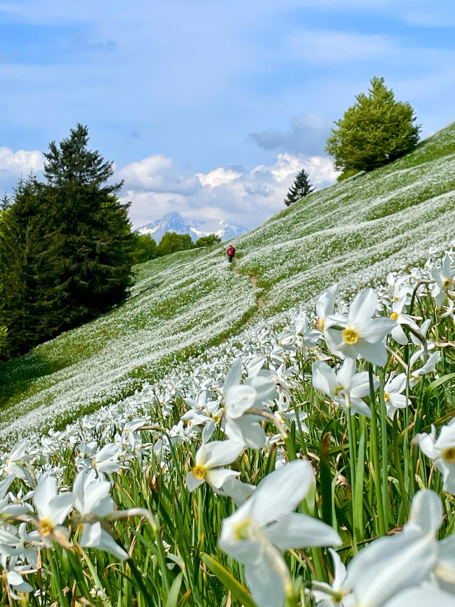 Exploring Slovenia tweet media
