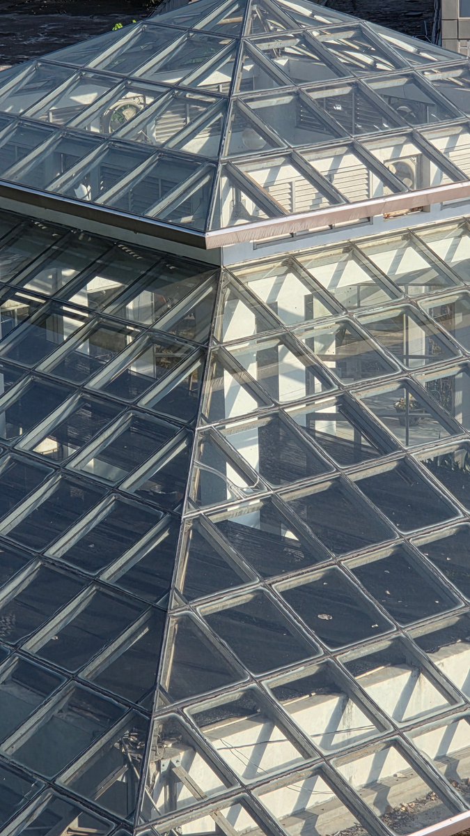 RezaKuntang tweet media